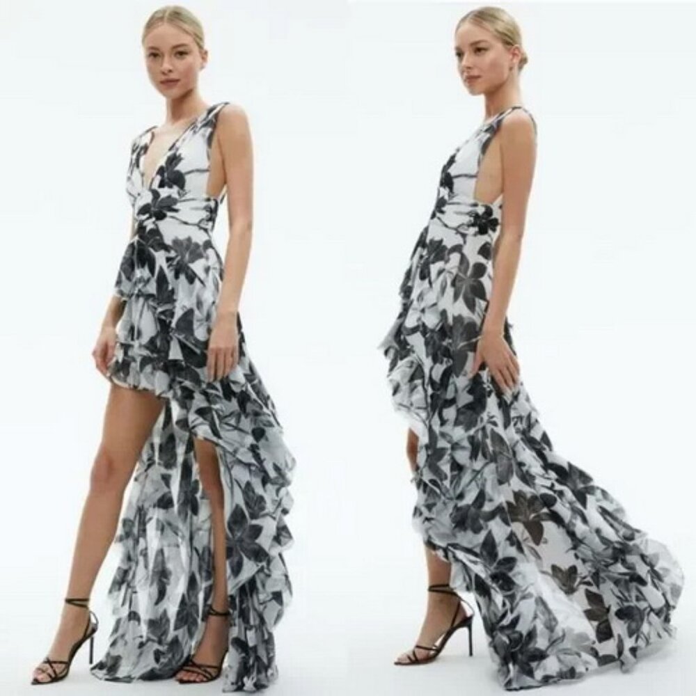 Alice + Olivia Stargazer Black Off White Holly Ruffle Maxi Dress